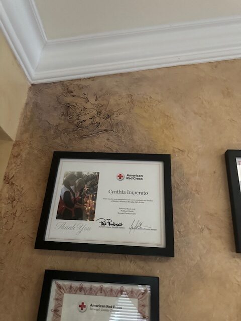 Cynthia Imperato Headshots