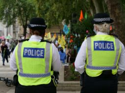 Cynthia Imperato: Public Safety